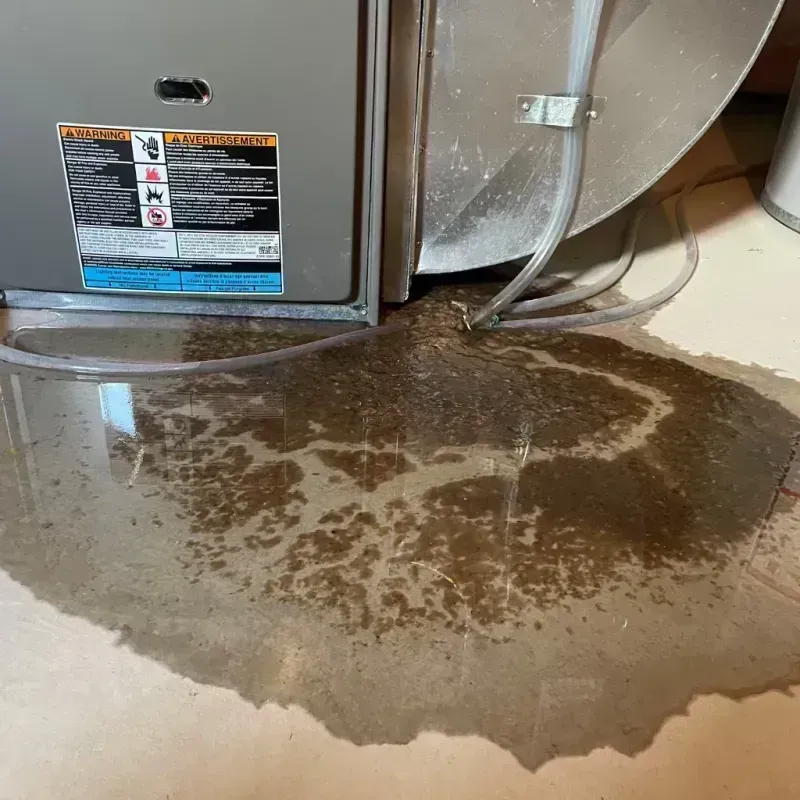 Appliance Leak Cleanup in Rossmoor, CA